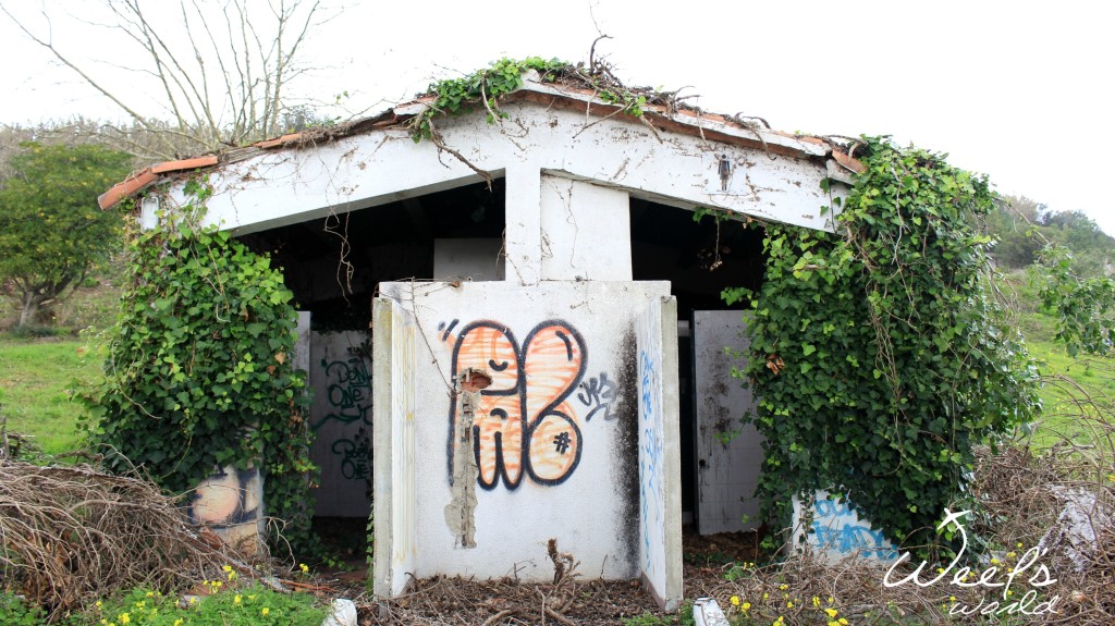 IMG_9223_upraveno_wm