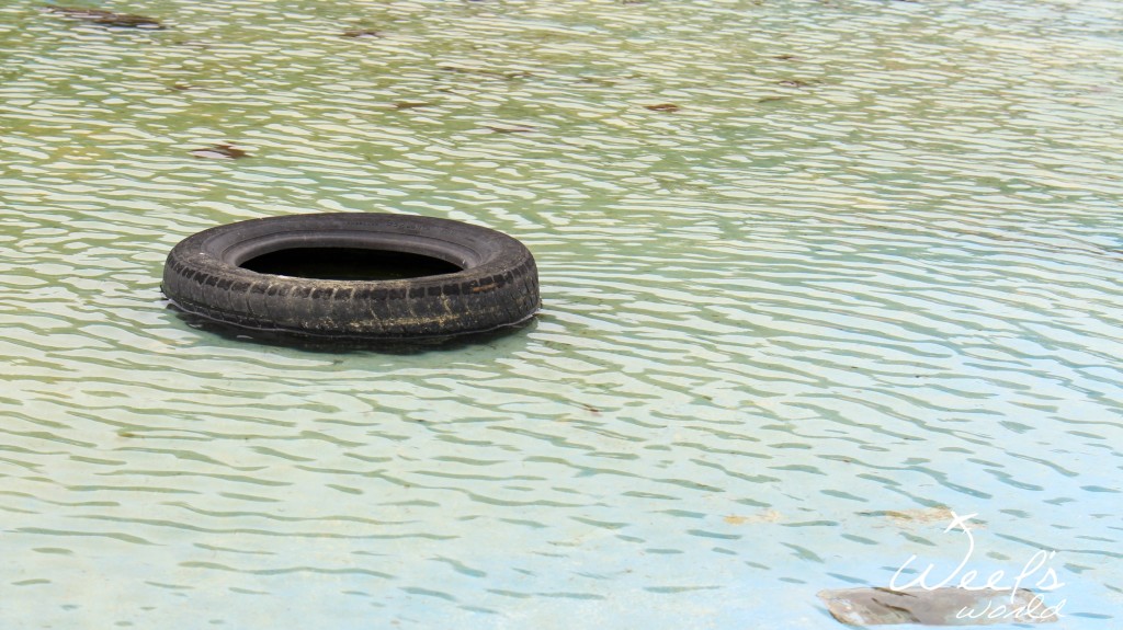 IMG_9358_upraveno_wm