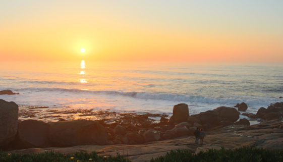 travel playlist weef