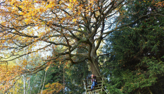 posledni rozlouceni_ke korenum