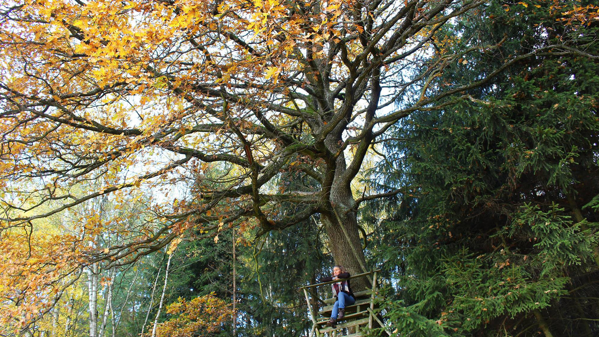 posledni rozlouceni_ke korenum