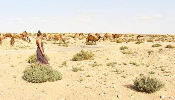 blog maroko weef míň věcí víc zážitků