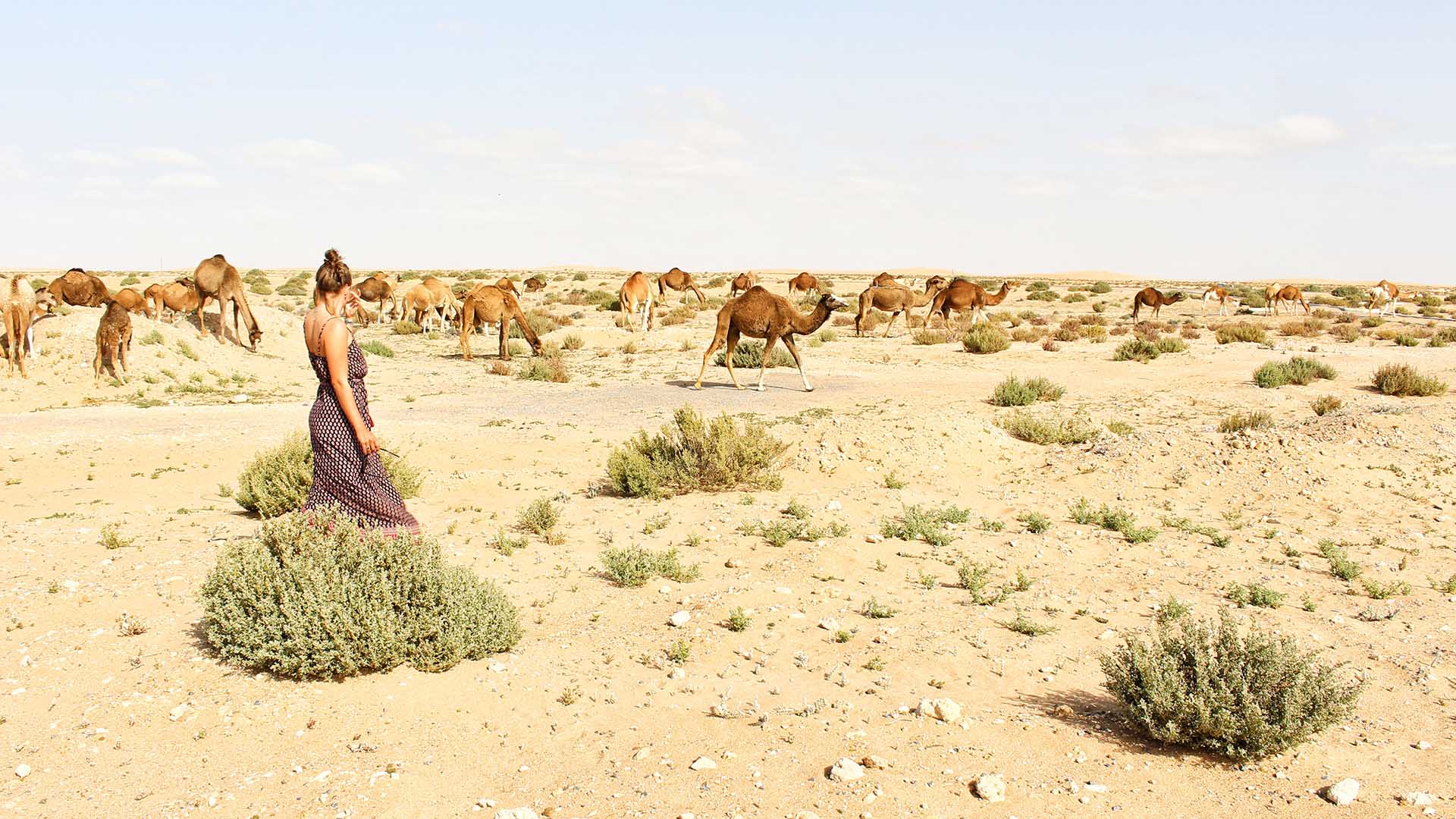 blog maroko weef míň věcí víc zážitků