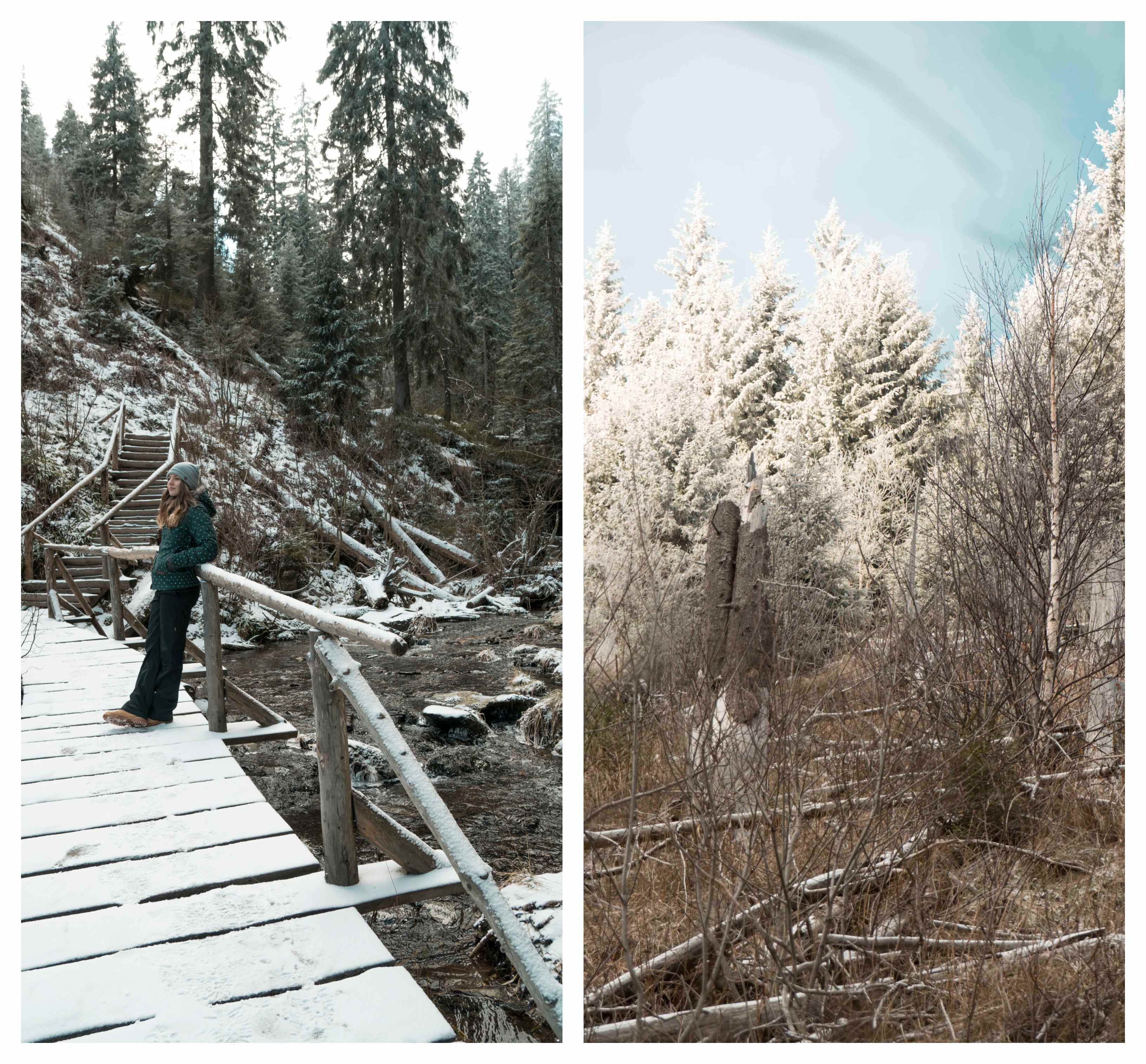 Jeseníky Bílá Opava naučná stezka