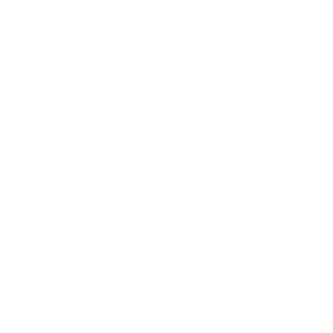 google_logo_white