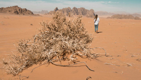 Jordánsko_co je dobré vědět, než vyrazíte-blog_weef