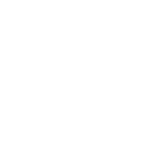 kaktus_logo_white