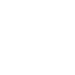 nemleko_logo_white