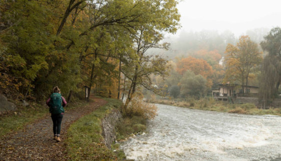 stezka_údolím_lužnice_toulava